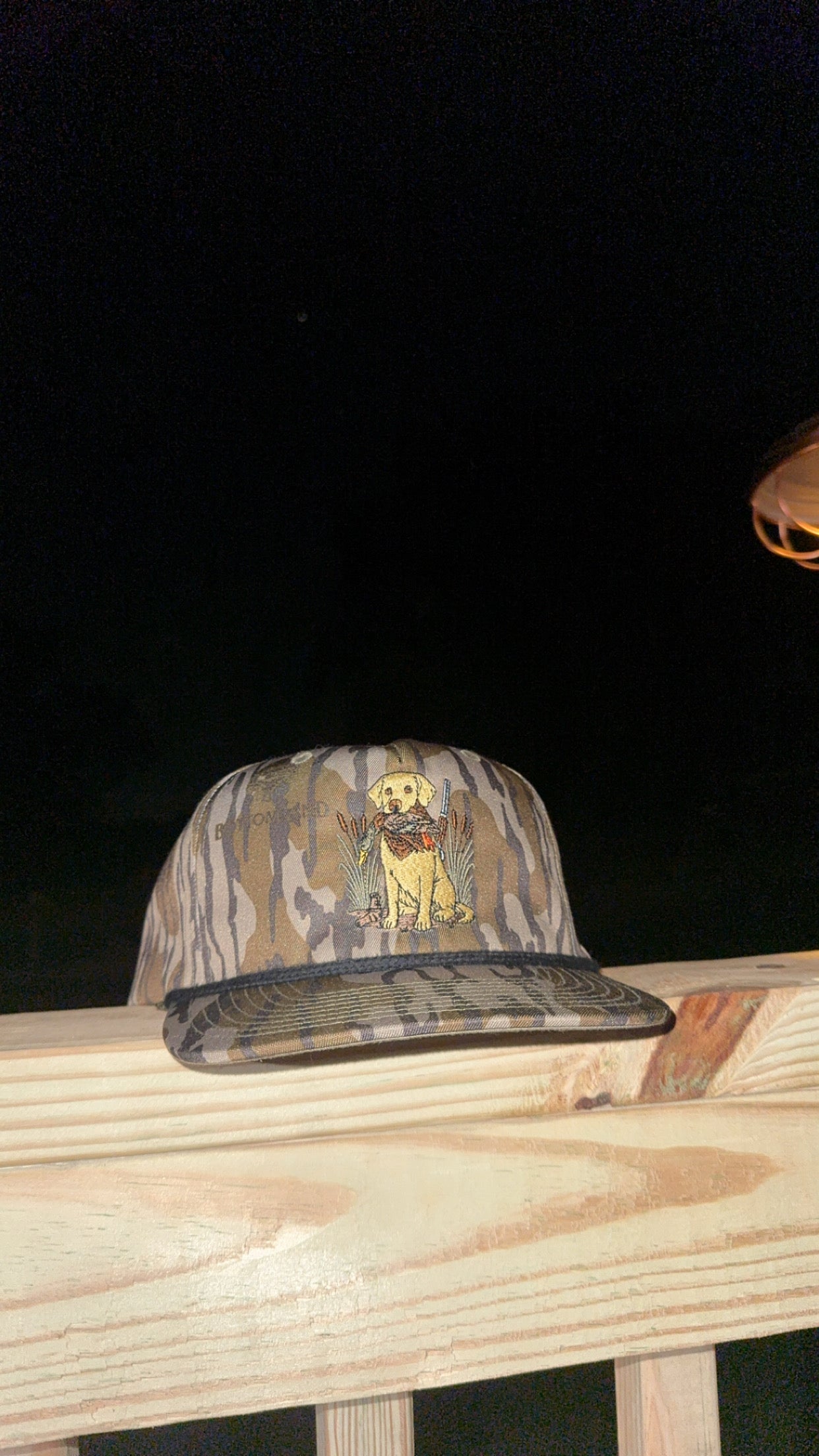 “The Retriever”